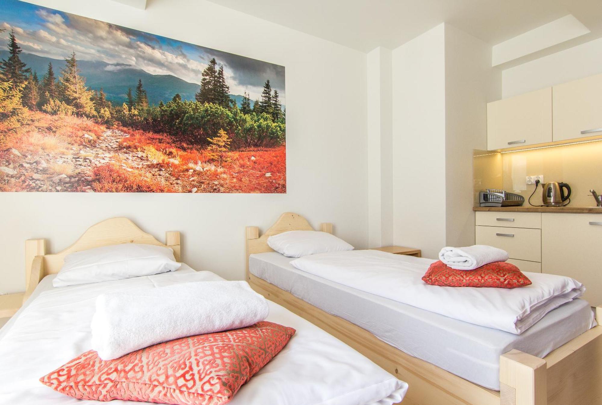 Apartamenty Smrekowa Lux זקופאנה מראה חיצוני תמונה